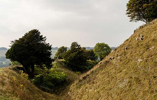 Ancient hillfort slopes covered in grass