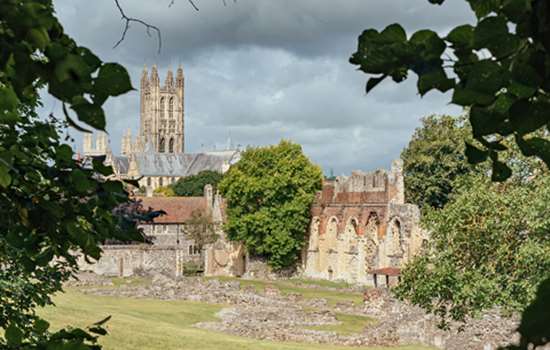 A view of St Augustine's Abbey through the tree leaves.